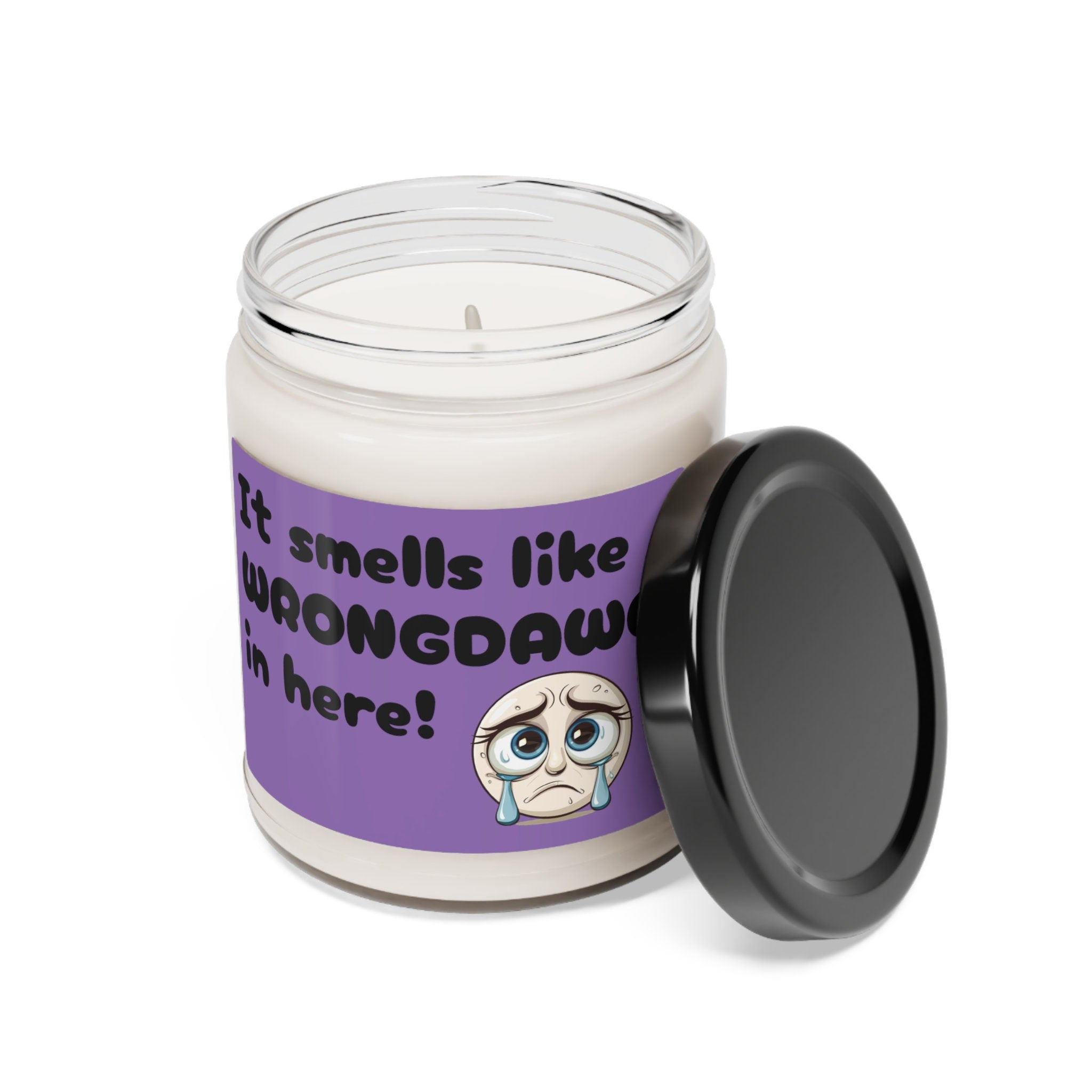 Hilarious Scented Soy Candle, 9oz Funny Saying Sad Gift Candle Joke