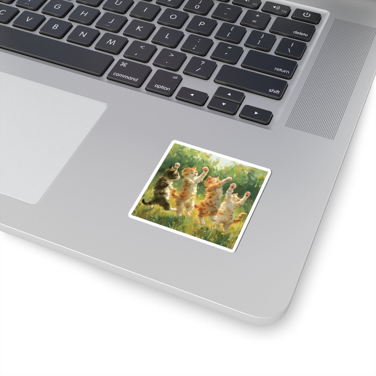Cat Sticker for Cat Lovers Vinyl Sticker Laptop Decor
